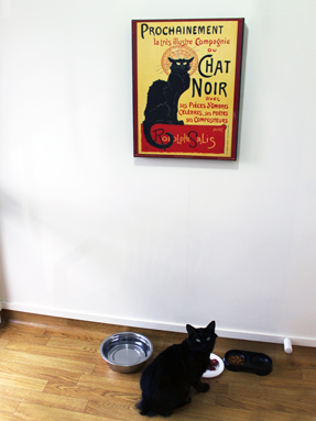 Inside Room Four Cattery Accommodation Room Four