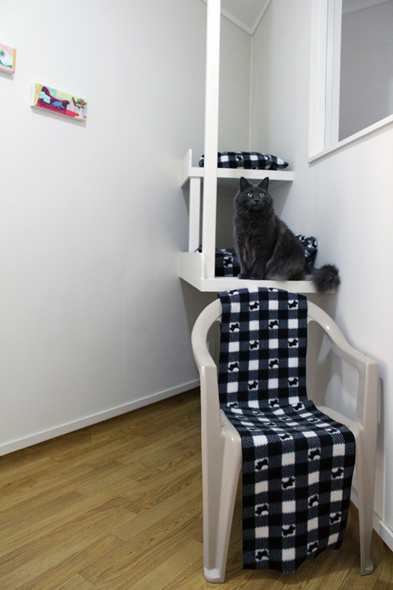 Inside RoomThree Inside Room Three