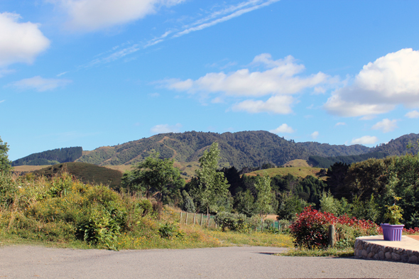 View from room 4 and 5 View from room 4 and 5