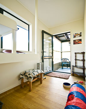 Cattery Accommodation Room One
