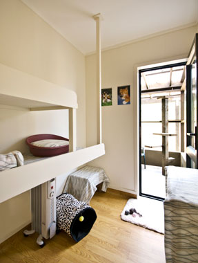 Cattery Accommodation Room Two